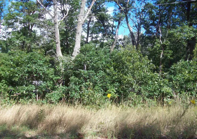 Photo 3 of Land for sale at Lot 137 Maryland St, Harrison, MI 48625 | MLS# 50153959 | Listing updated on 2026-09-15