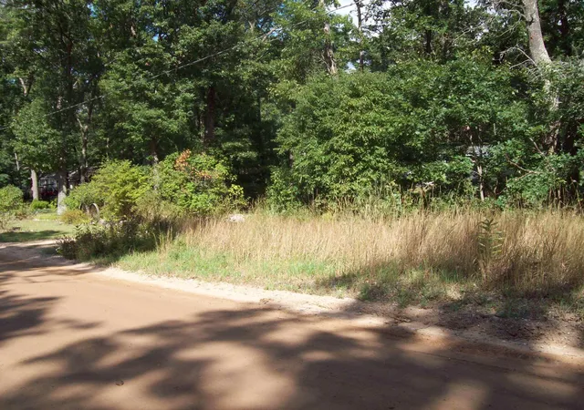 Photo 3 of Land for sale at Lot 137 Maryland St, Harrison, MI 48625 | MLS# 50153959 | Listing updated on 2026-09-15