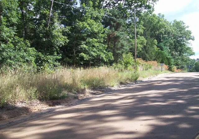 Photo 4 of Land for sale at Lot 137 Maryland St, Harrison, MI 48625 | MLS# 50153959 | Listing updated on 2026-09-15