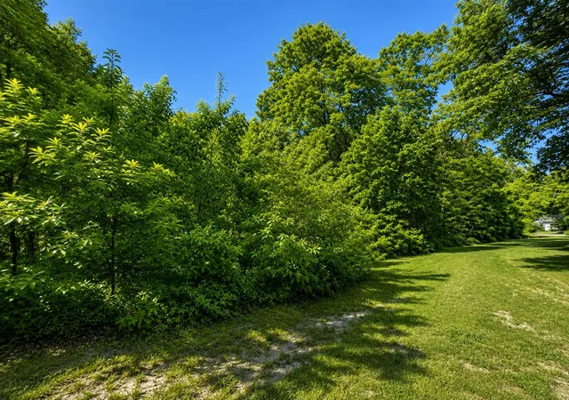 Photo 2 of Land for sale at S Mill Iron Rd, Muskegon, MI 49442 | MLS# 70549956 | Listing updated on 2026-08-24