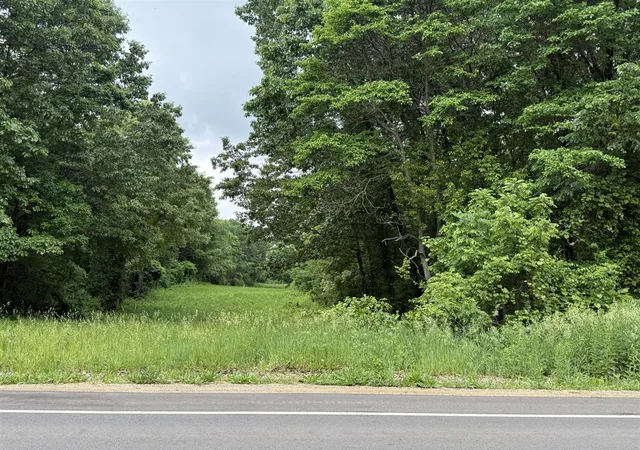 Homes for sale in Albion, MI | Vl 28 Mile Rd, Albion, MI 49224 | MLS# 70537315
