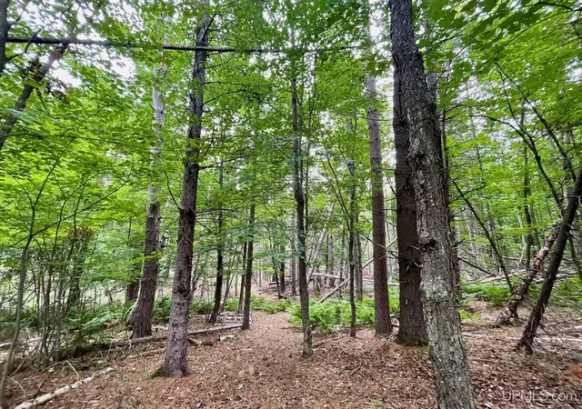 Photo 1 of Land for sale at Parcel A Tbd Heather Ln, Marquette, MI 49855 | MLS# 50217666 | Listing updated on 2026-08-06