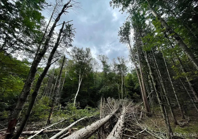 Photo 3 of Land for sale at Parcel A Tbd Heather Ln, Marquette, MI 49855 | MLS# 50217666 | Listing updated on 2026-08-06