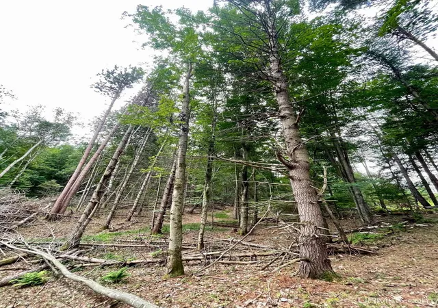 Photo 3 of Land for sale at Parcel A Tbd Heather Ln, Marquette, MI 49855 | MLS# 50217666 | Listing updated on 2026-08-06