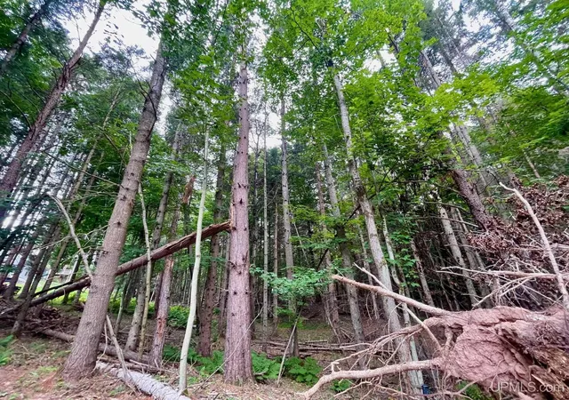 Photo 4 of Land for sale at Parcel A Tbd Heather Ln, Marquette, MI 49855 | MLS# 50217666 | Listing updated on 2026-08-06