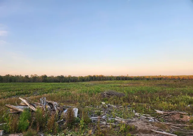 Photo 1 of Land for sale at 40 Acres (2nd) Monroe (easement) Rd, Harrison, MI 48625 | MLS# 50190144 | Listing updated on 2026-05-04