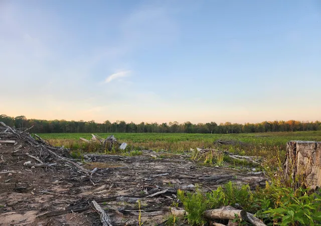 Photo 2 of Land for sale at 40 Acres (2nd) Monroe (easement) Rd, Harrison, MI 48625 | MLS# 50190144 | Listing updated on 2026-05-04