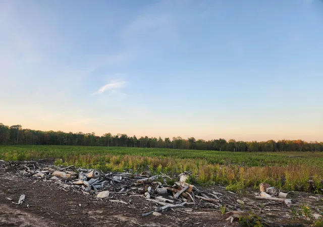 Photo 3 of Land for sale at 40 Acres (2nd) Monroe (easement) Rd, Harrison, MI 48625 | MLS# 50190144 | Listing updated on 2026-05-04