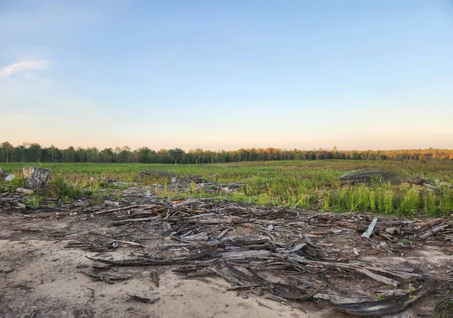 Photo 3 of Land for sale at 40 Acres (2Nd) Monroe (Easement) Rd, Harrison, MI 48625 | MLS# 50190144 | Listing updated on 2026-05-04