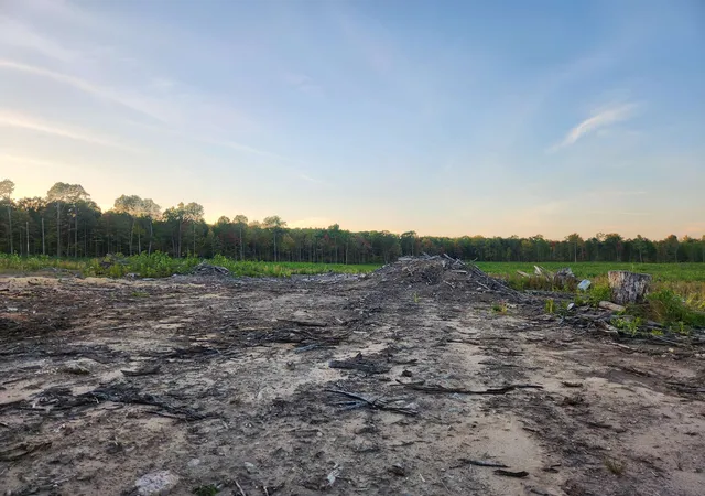 Photo 4 of Land for sale at 40 Acres (2Nd) Monroe (Easement) Rd, Harrison, MI 48625 | MLS# 50190144 | Listing updated on 2026-05-04