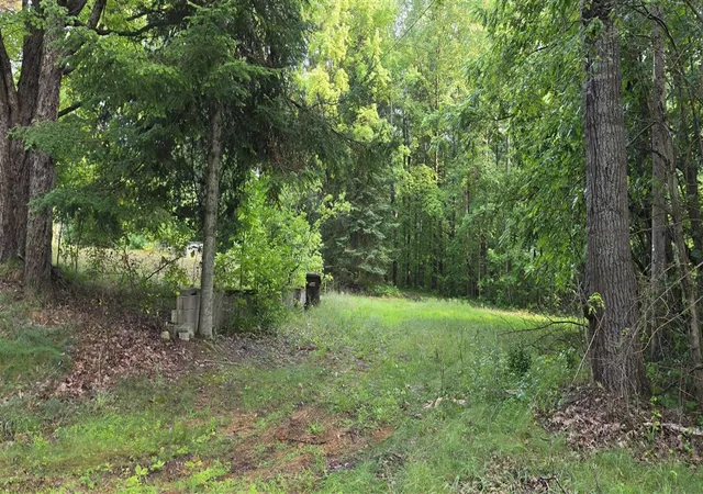 Photo 3 of Land for sale at 7925 Michigan 18, Gladwin, MI 48624 | MLS# 70553159 | Listing updated on 2026-10-08