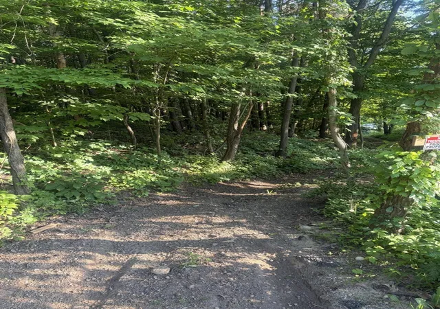Photo 3 of Land for sale at Pifer Rd, Delton, MI 49046 | MLS# 70537064 | Listing updated on 2026-08-04