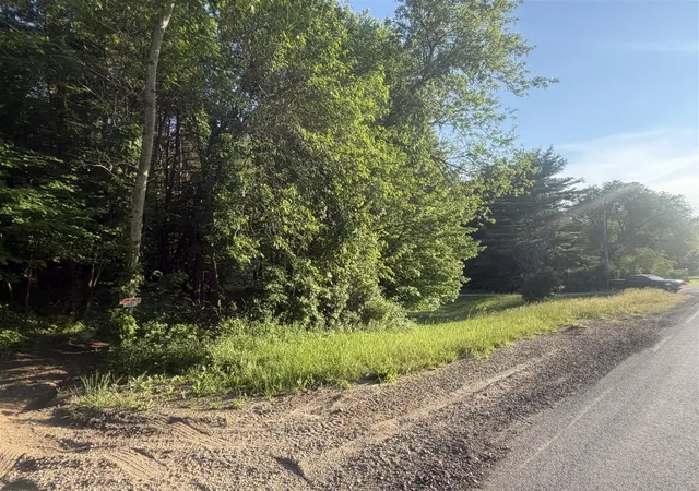 Photo 4 of Land for sale at Pifer Rd, Delton, MI 49046 | MLS# 70537064 | Listing updated on 2026-08-04
