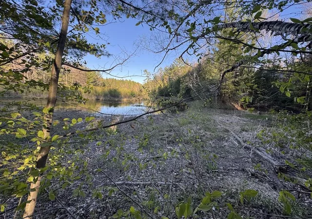 Homes for sale in Alger, MI | Lot 1 V/l Wildwood Rd, Alger, MI 48610 | MLS# 70539766