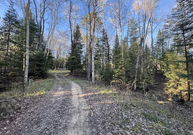 Homes for sale in Alger, MI | Lot 1 V/L Wildwood Rd, Alger, MI 48610 | MLS# 70539766