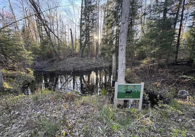 Homes for sale in Alger, MI | Lot 1 V/L Wildwood Rd, Alger, MI 48610 | MLS# 70539766