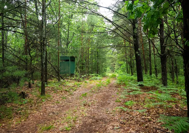 1st image of V/l 809a N Centerline Rd, White Cloud, MI 49349 | MLS# 70521307