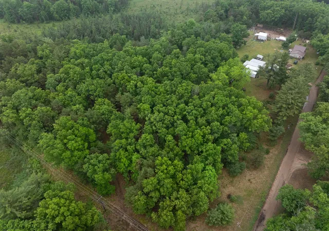 Photo 3 of Land for sale at V/l N 809a Centerline Rd, White Cloud, MI 49349 | MLS# 70521307 | Listing updated on 2026-07-10