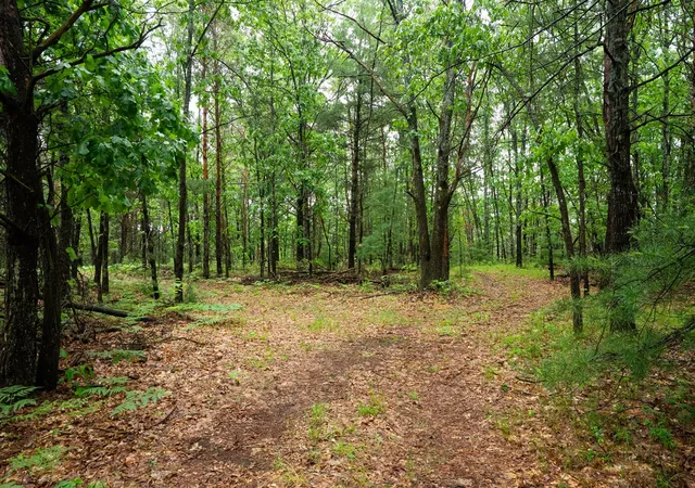 41st image of V/l 809a N Centerline Rd, White Cloud, MI 49349 | MLS# 70521307