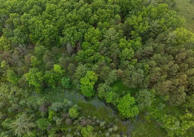 Photo 4 of Land for sale at V/l N 809a Centerline Rd, White Cloud, MI 49349 | MLS# 70521307 | Listing updated on 2026-07-10