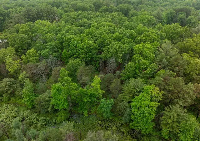Photo 5 of Land for sale at V/l N 809a Centerline Rd, White Cloud, MI 49349 | MLS# 70521307 | Listing updated on 2026-07-10