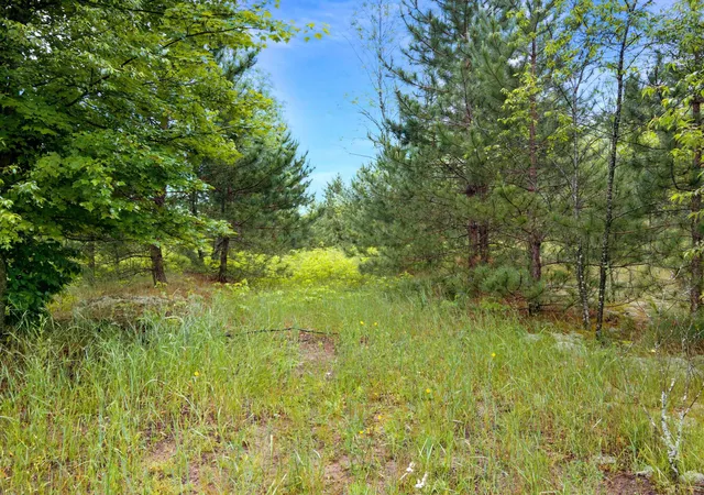 Homes for sale in Kingsley, MI | 0000 Maple Farms Ln, Kingsley, MI 49649 | MLS# 80070439