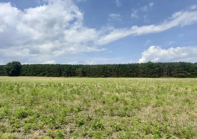 1st image of 0 Seymour Rd, Grass Lake, MI 49240 | MLS# 70506903