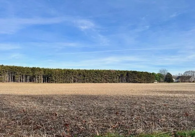 4th image of 0 Seymour Rd, Grass Lake, MI 49240 | MLS# 70506903