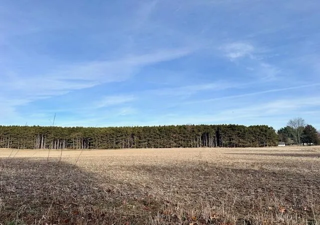 5th image of 0 Seymour Rd, Grass Lake, MI 49240 | MLS# 70506903