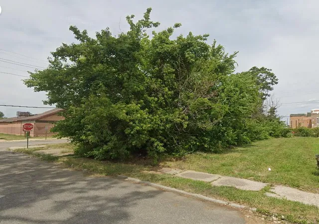 Photo 1 of Land for sale at 9254 Cameron St, Detroit, MI 48211 | MLS# 70440217 | Listing updated on 2025-10-14