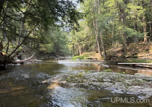 Photo 1 of Land for sale at Tbd Off Black Creek Rd, Skanee, MI 49962 | MLS# 50220155 | Listing updated on 2026-08-31