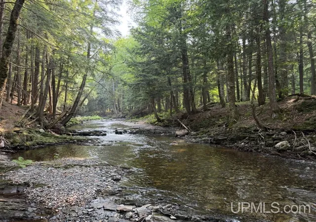 Photo 3 of Land for sale at Tbd Off Black Creek Rd, Skanee, MI 49962 | MLS# 50220155 | Listing updated on 2026-08-31