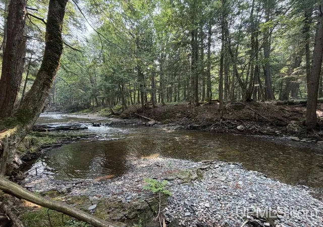 Photo 4 of Land for sale at Tbd Off Black Creek Rd, Skanee, MI 49962 | MLS# 50220155 | Listing updated on 2026-08-31