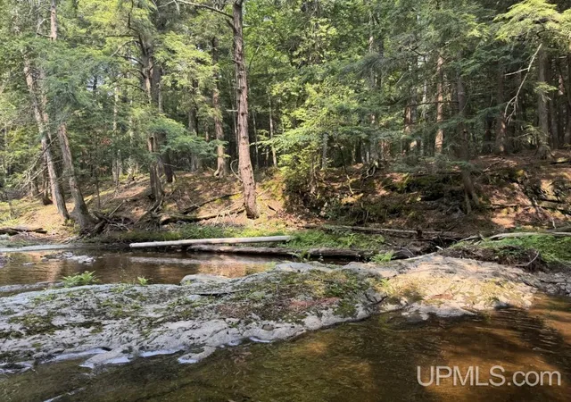 Photo 5 of Land for sale at Tbd Off Black Creek Rd, Skanee, MI 49962 | MLS# 50220155 | Listing updated on 2026-08-31