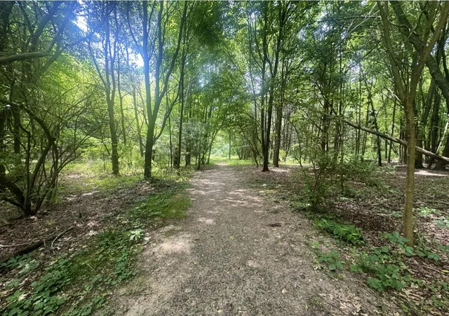 Land for sale at 7705 Youngman Rd, Greenville, MI 48838 | MLS# 70545815