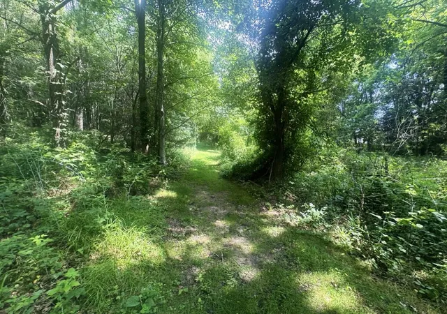Photo 2 of Land for sale at 7705 Youngman Rd, Greenville, MI 48838 | MLS# 70545815 | Listing updated on 2026-07-16
