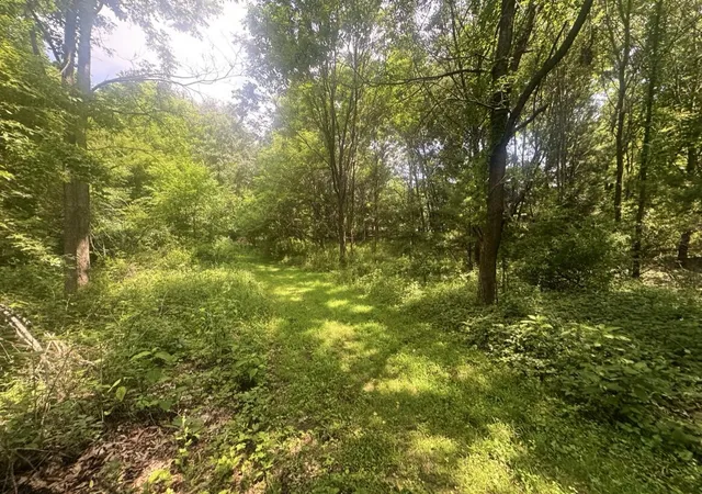 Photo 3 of Land for sale at 7705 Youngman Rd, Greenville, MI 48838 | MLS# 70545815 | Listing updated on 2026-07-16