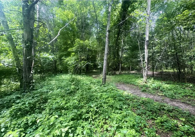 Photo 3 of Land for sale at 7705 Youngman Rd, Greenville, MI 48838 | MLS# 70545815 | Listing updated on 2026-07-16
