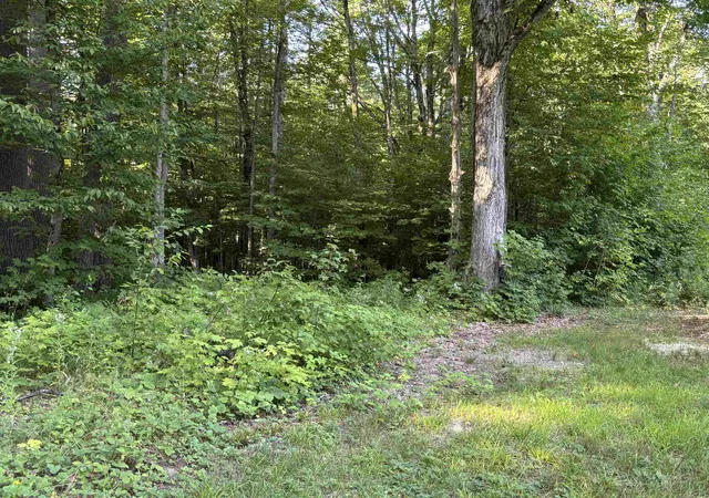 21st image of 6493 Plainfield Trl, Elmira, MI 49730 | MLS# 80072111