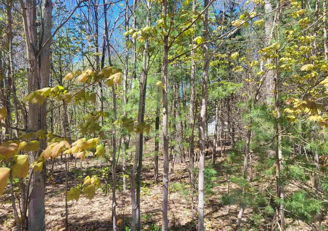 Homes for sale in Interlochen, MI | 00 N Hulbert Rd, Interlochen, MI 49643 | MLS# 80068565