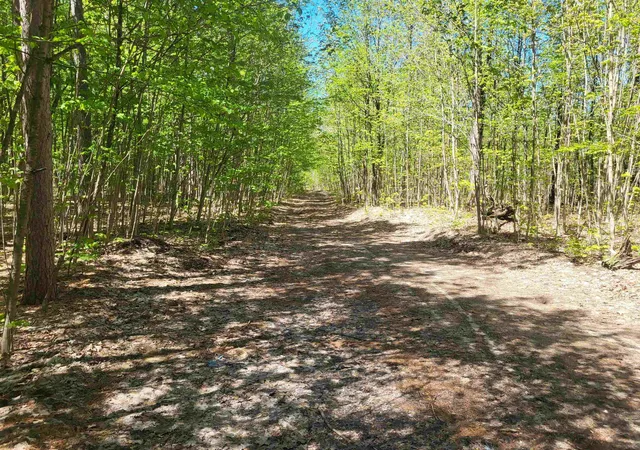 Homes for sale in Interlochen, MI | 00 N Hulbert Rd, Interlochen, MI 49643 | MLS# 80068565