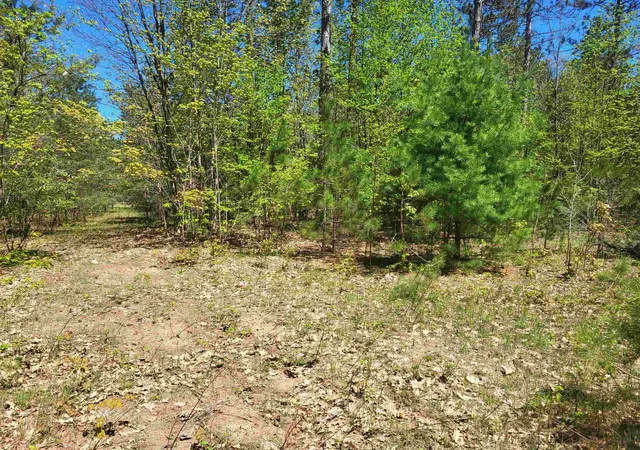 Homes for sale in Interlochen, MI | 00 N Hulbert Rd, Interlochen, MI 49643 | MLS# 80068565