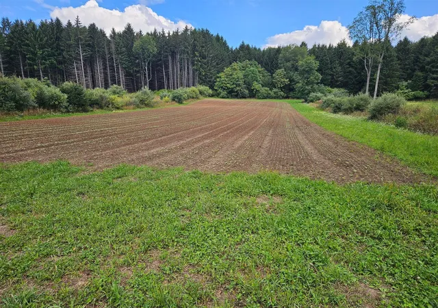Photo 3 of Land for sale at V/l E Chauvez Rd, Custer, MI 49405 | MLS# 70552703 | Listing updated on 2026-08-26