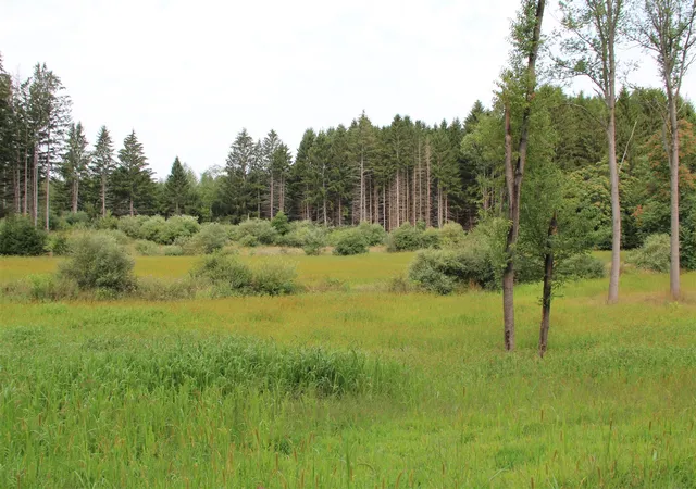 Photo 41 of Land for sale at V/l E Chauvez Rd, Custer, MI 49405 | MLS# 70552703 | Listing updated on 2026-08-26