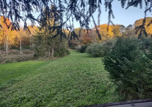 Photo 4 of Land for sale at V/l E Chauvez Rd, Custer, MI 49405 | MLS# 70552703 | Listing updated on 2026-08-26