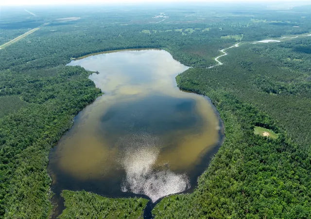 Photo 4 of Land for sale at 5860 Turtle Lake Rd, Gaylord, MI 49735 | MLS# 70472430 | Listing updated on 2026-08-12