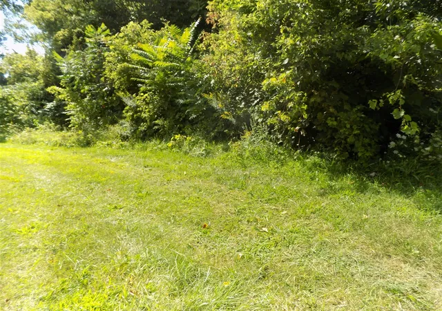 Photo 3 of Land for sale at 0 Mountain Road, Coloma, MI 49038 | MLS# 70336574 | Listing updated on 2026-10-01