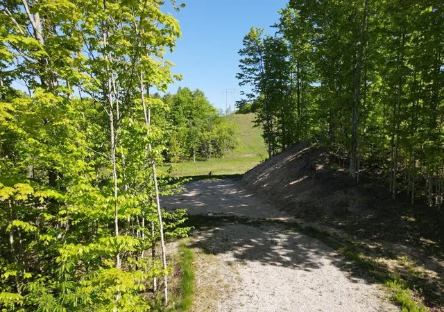 Homes for sale in East Jordan, MI | Tbd Pesek Rd, East Jordan, MI 49727 | MLS# 80066583