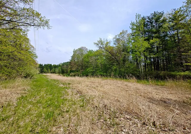 Photo 3 of Land for sale at Vl Tipsico Lake Rd Parcel A, Fenton, MI 48430 | MLS# 70533509 | Listing updated on 2026-08-20