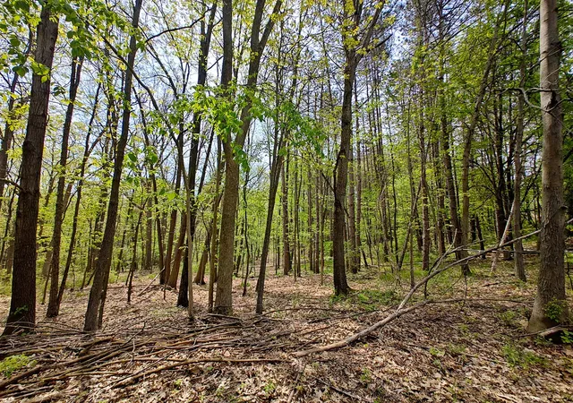 Photo 3 of Land for sale at Vl Tipsico Lake Rd Parcel A, Fenton, MI 48430 | MLS# 70533509 | Listing updated on 2026-08-20
